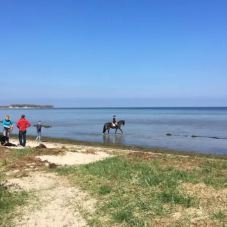 1 Bedroom Stunning In * Wißmar