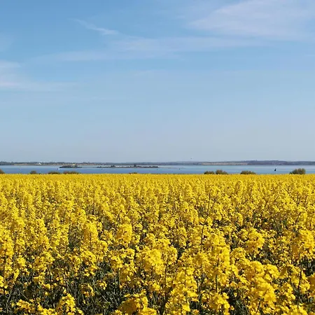 Lejlighed 1 Bedroom Stunning In *