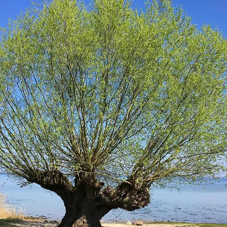 1 Bedroom Stunning In Lejlighed Wißmar